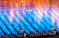 Roath Park gas fired boilers